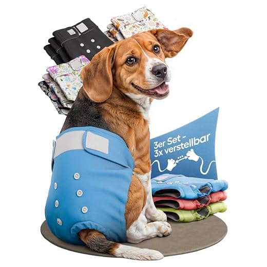 HUND IST KÖNIG® Hondenluiers voor hondenharen, 3 stuks, absorberende loopbroek voor hondenharen, 3-voudig verstelbaar voor een stevige pasvorm, milieuvriendelijke hondenluiers bij loopheid en incontinentie