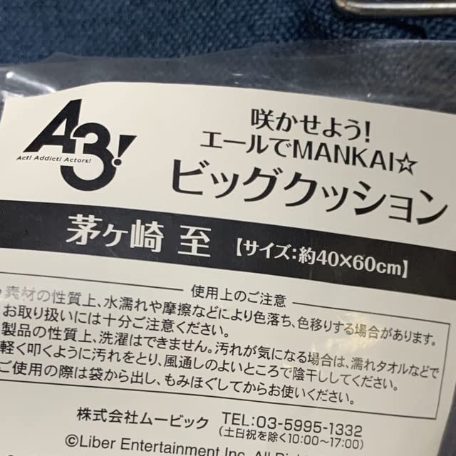Amazon.co.jp: A3 エースリー 茅ヶ崎至 ビッグクッション フレーム付き 