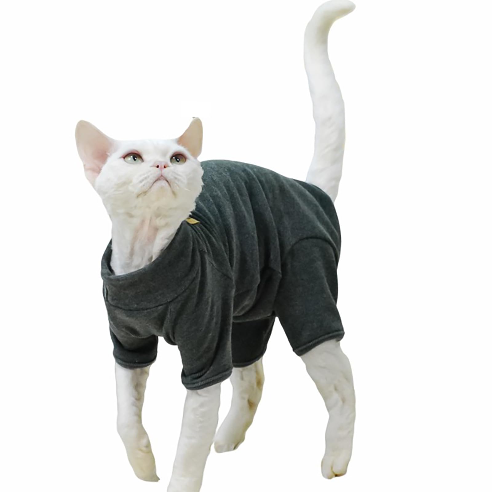 Pull d'hiver pour chat Sphynx contre le froid avec protection ventre