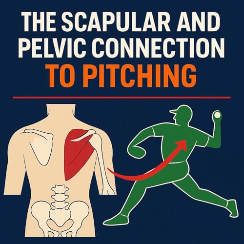 The Scapula and Pelvic Connection to Pitching