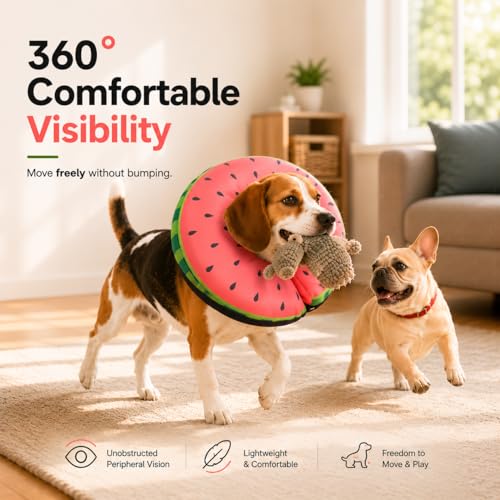 Image of MIDOG Inflatable Dog Cone After Surgery, Donut Collar for Large Dogs, L