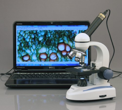 AmScope M158B Cordless Compound Monocular Microscope, WF10x and WF20x Eyepieces, 40x-800x Magnification, LED Illumination with Rheostat, Brightfield, Single-Lens Condenser, Coaxial Coarse and Fine Focus, Plain Stage, 110V or Battery-Powered - Thumbnail 7
