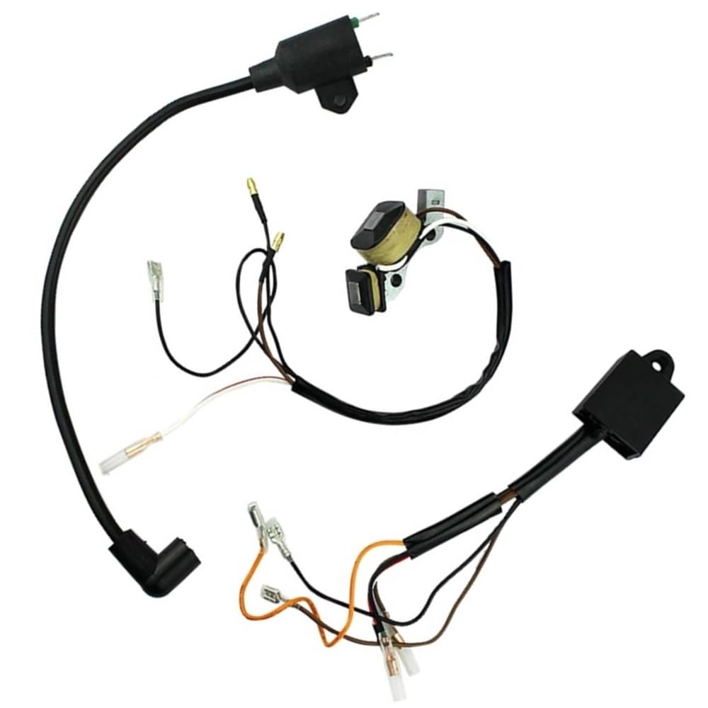 Ignition Coil with Magneto Suitable for ET950 ET650 IE45 TG950 450W 650W 800W 950W 1000W 2 Stroke Generator (3 pcs kit)