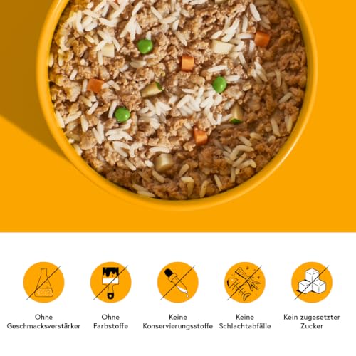 FRED Nassfutter Hund Huhn mit Reis – Monoprotein – 50 % Huhn in Lebensmittelqualität – Getreidefrei – mit Gemüse & Ölen – Alleinfuttermittel für ausgewachsene Hunde – 190 g Tetra Pak