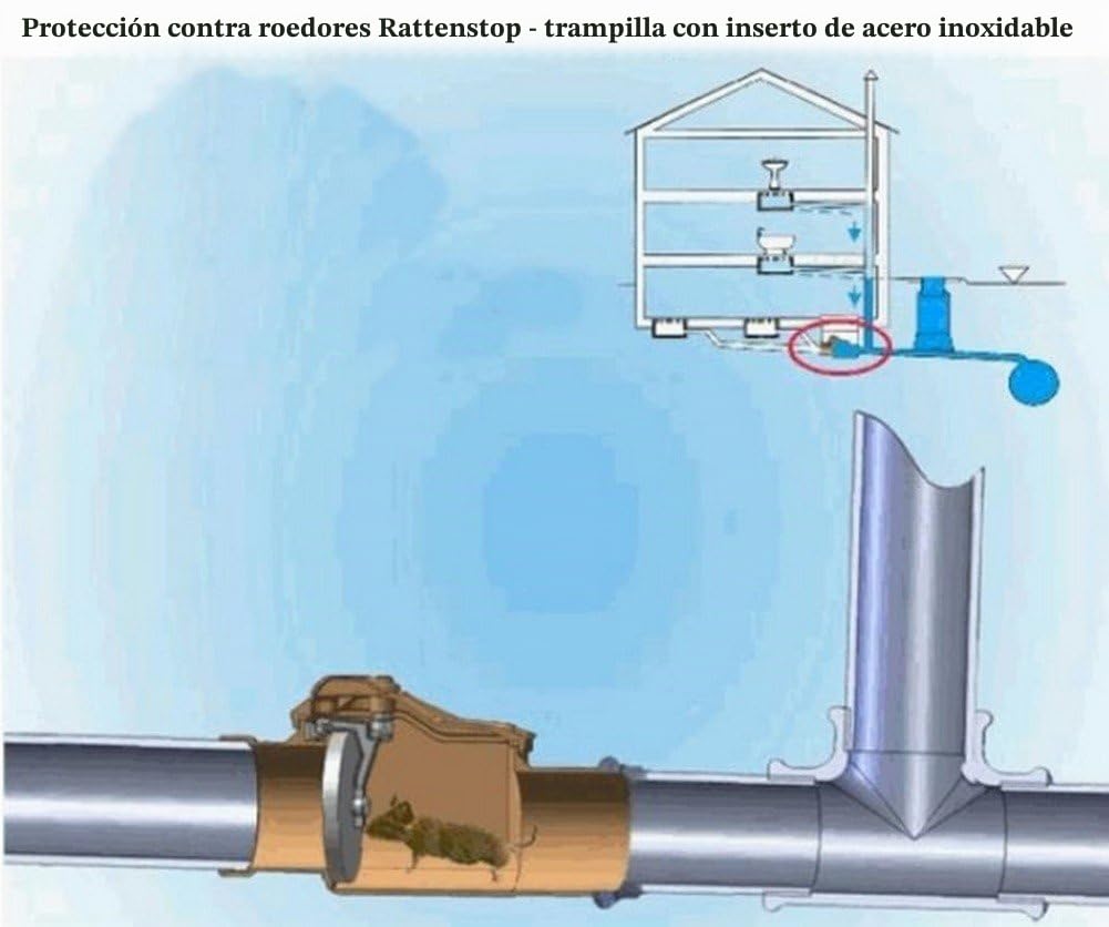 Capricorn Válvula de Retención Cierre de Reflujo 9-5000-110-01-03-11, Naranja, Diámetro de Conexión (mm): Ø 110 / DN 110