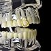 Open Face 14k Gold Plated Grillz Single Cap Top Hollow Canine Tooth Hip Hop Grills