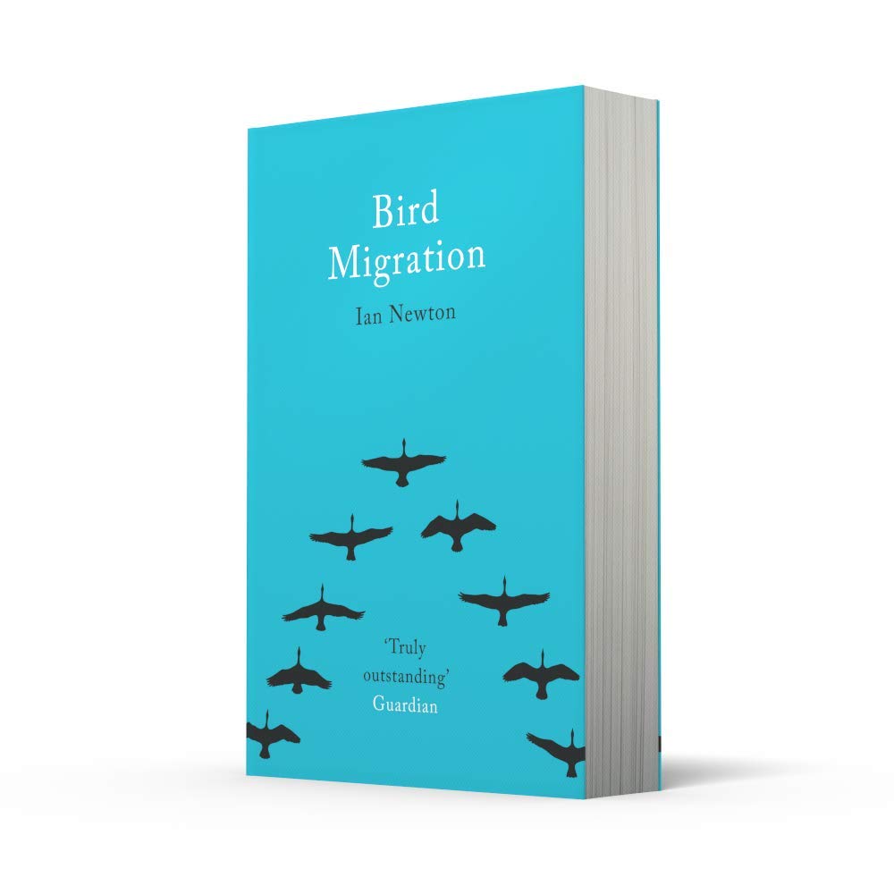 Bird Migration: A Captivating Non-Fiction Account of Global Wildlife Journeys and Seasonal Change