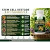 GREEN VALLEY NATURALS Stem Cell Restore Cellular Health Support Supplement with CYANTHOXTM30, Sea Buckthorn, Black Currant, Grape Seed & Resveratrol | Antioxidant & Healthy Aging Support | 60 Caps