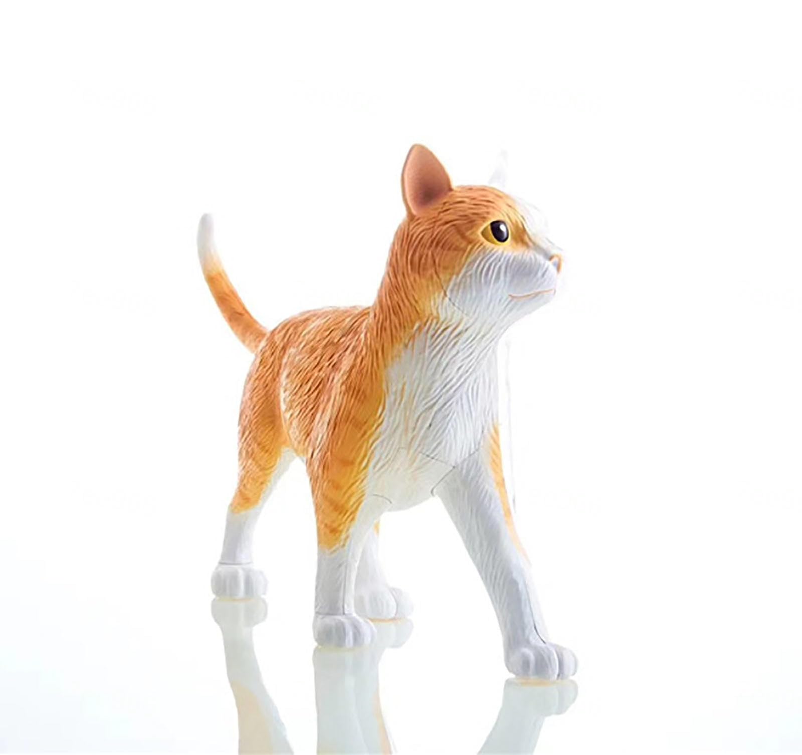 Modello Anatomico del Gatto 4D, Organi Rimovibili Modello Anatomico dello Scheletro del Gatto 28 Pezzi, Modello Medico del Gatto, per Gli Aiuti Didattici per L'educazione Medica
