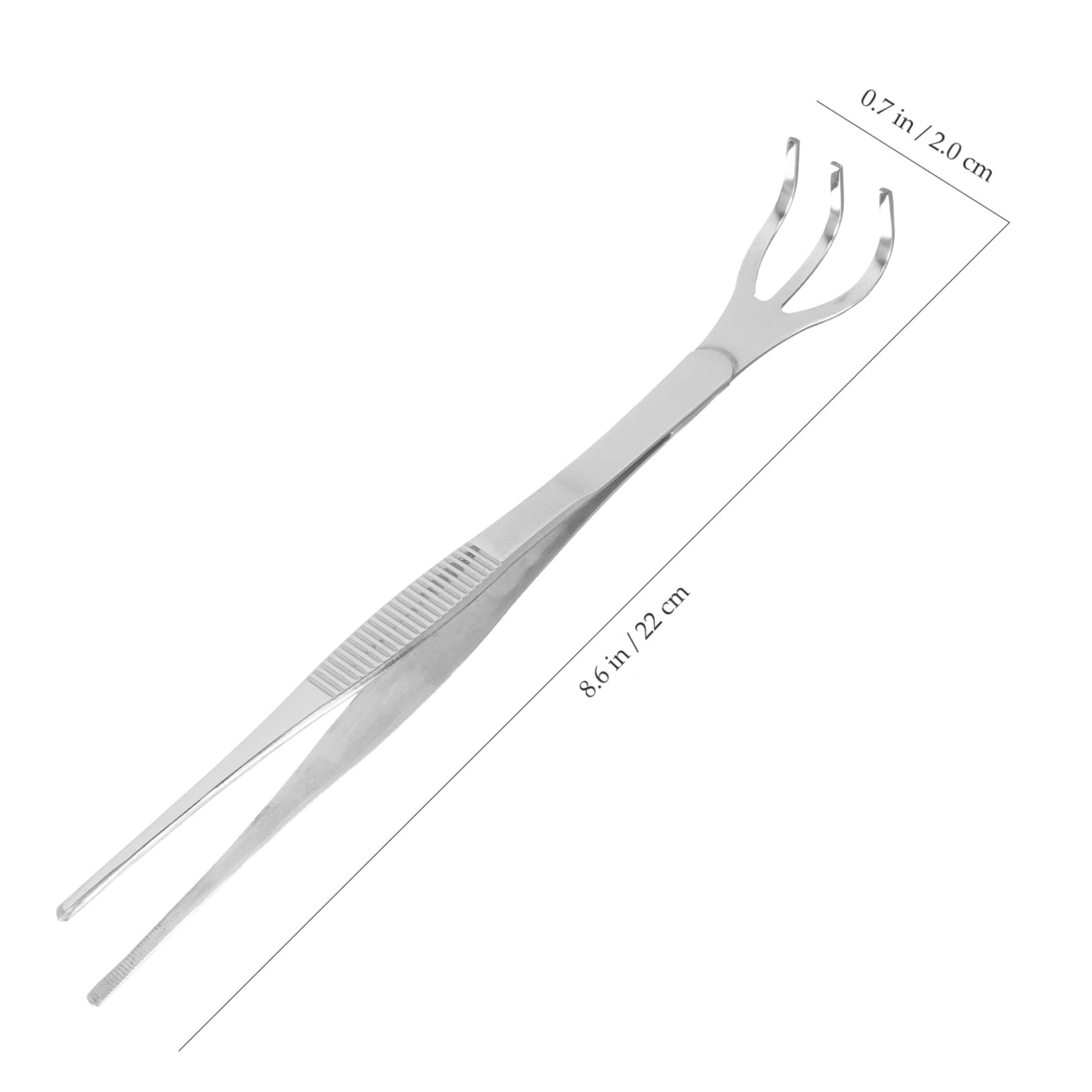 BESPORTBLE 2sets Pinzette Per Bonsai Acciaio Inossidabile Pinzette Per Giardinaggio Con Rastrello e Spatola Per Cambiamento Terreno e Manutenzione Piante