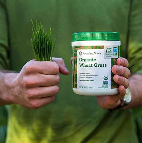 Amazing Grass Wheat Grass Tablets: 100% Whole-Leaf Wheat Grass Powder For Energy, Detox & Immunity Support, Chlorophyll Providing Greens, 200 Count #TOP6
