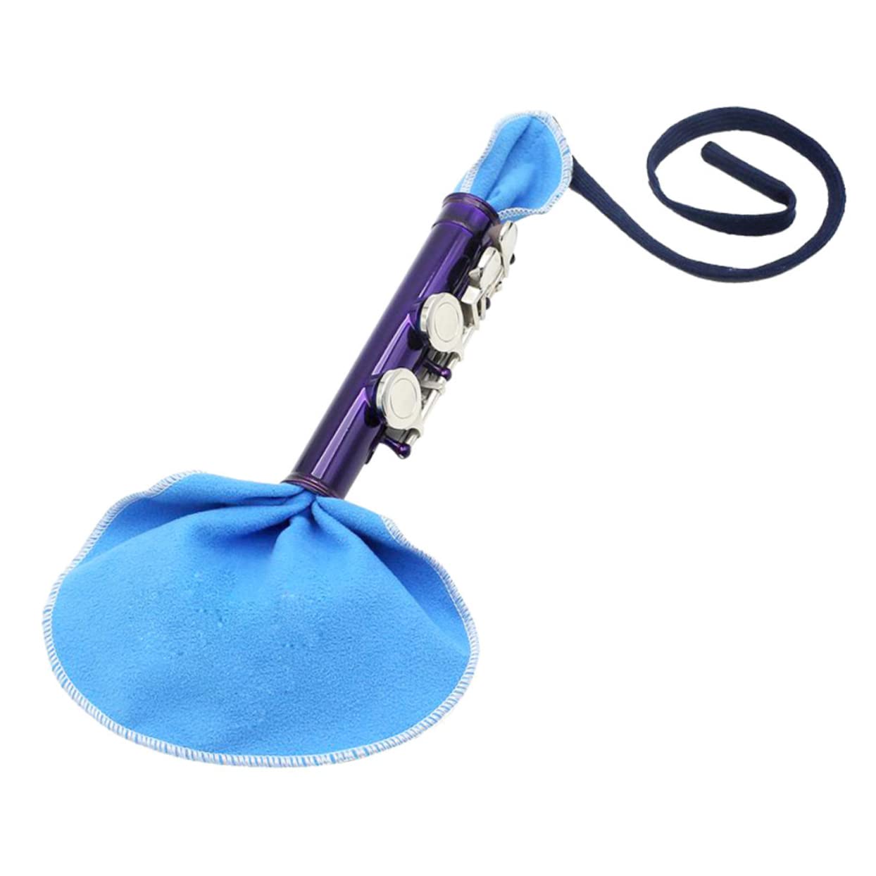 Toddmomy Professional Saxophone Cleaning Tools 2pcs Sax Cleaning Cloth Clarinet Brush Flute Maintenance Kit Soft