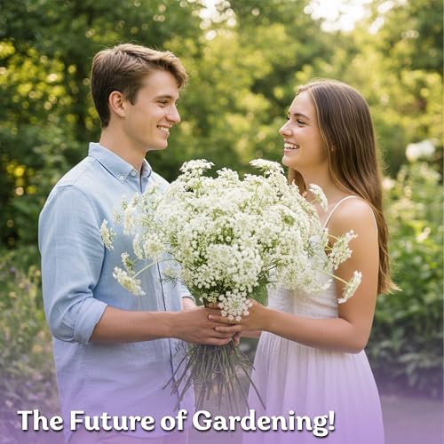 KVITER 1000 White Queen Anne's Lace Seeds (Ammi Majus) – Bishop Flower, Heirloom, Non GMO & Wildflower, False Queen Annes Lace – Pollinator-Friendly Flower Seeds to Plant Outside in Any Garden — view 7