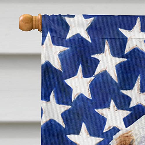 Drapeau Clumber Spaniel USA en toile premium grand format durable