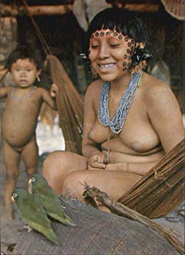 Brasil Nativo Brazil Original Vintage Postcard