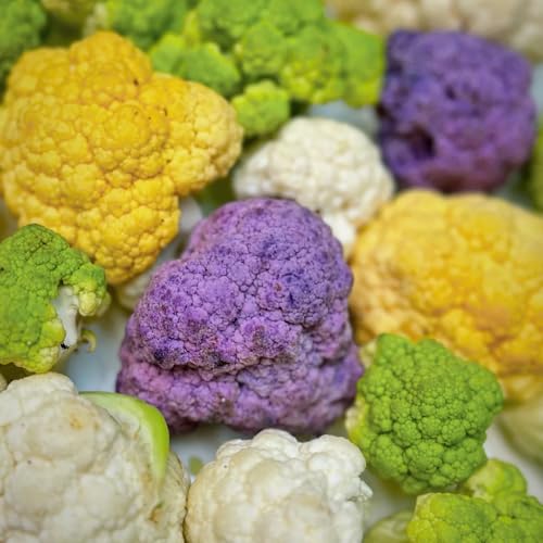 semillas de coli- coli- verdes, interior, balcón colide invierno de invierno, resistentes para el jardín 60pcs