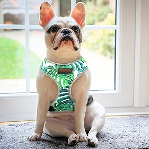 Oddychająca kamizelka z nadrukiem Odblaskowa kamizelka dla psa Puppy Małe i średnie kamizelki dla psa Walking Pet Accessories