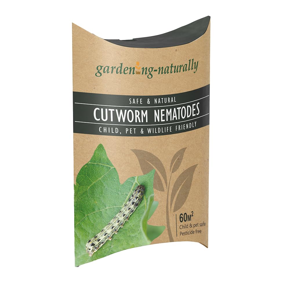 Cutworm Nematodes 60 sq.m. Get Rid of Cutworm in Your Garden Stop Them Damaging Seedlings and Young Plants