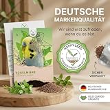 Vogelmiere Samen (Stellaria media) - Wertvolle Heilpflanze und beliebte Futterpflanze für Wellensittiche und viele andere Vögel (Vogelmiere)