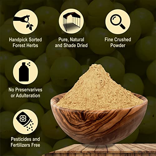 Image of IYUSH Herbal Ayurveda Wild Organic Amla Powder for Eating | Amla Powder for Drinking | Amla Powder for Hair Growth Organic | Amla Powder for Skin | 100gm