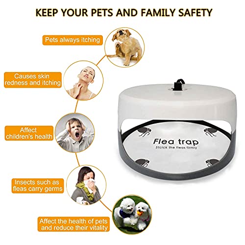 Qremove Flea Trap,2 Pack Indoor Flea Trap Bed Bug Trap With Glue Discs & Replacement Lightbulb Natural Insect Traps Odorless, Non-Poisonous Best Pest Control For Home #TOP1