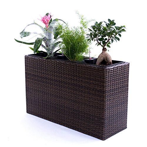 Preisvergleich Produktbild Pflanztopf Blumentopf Pflanzkasten Blumenkasten Polyrattan Rechteck LxBxH 82x30x50cm Mocca