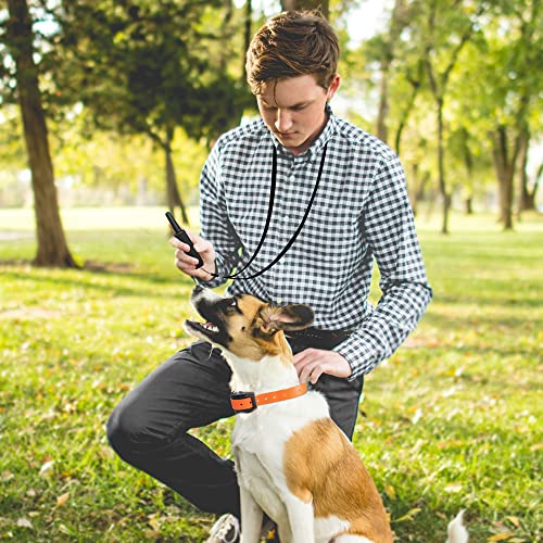 Image of No Shock Dog Training Collar Rechargeable Waterproof TPU Collar No Prongs Safe (Orange)