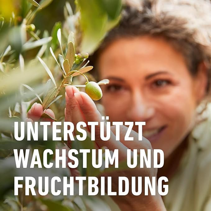 COMPO BIO Olivenbaumdünger – Olivenbäume düngen mit 100 Prozent natürlichen Inhaltsstoffen – Spezial-Flüssigdünger – 500 ml