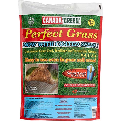 Best Grass Seed Canada Best Cost