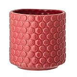 Photo Gallery nordring vaso dotty - per fiori da interno e piante da interno, piante grasse, cactus, orchidee m (12,5 cm ø), rosso, ceramica gres Photo Gallery nordring vaso dotty - per fiori da interno e piante da interno, piante grasse, cactus, orchidee m (12,5 cm ø), rosso, ceramica gres
