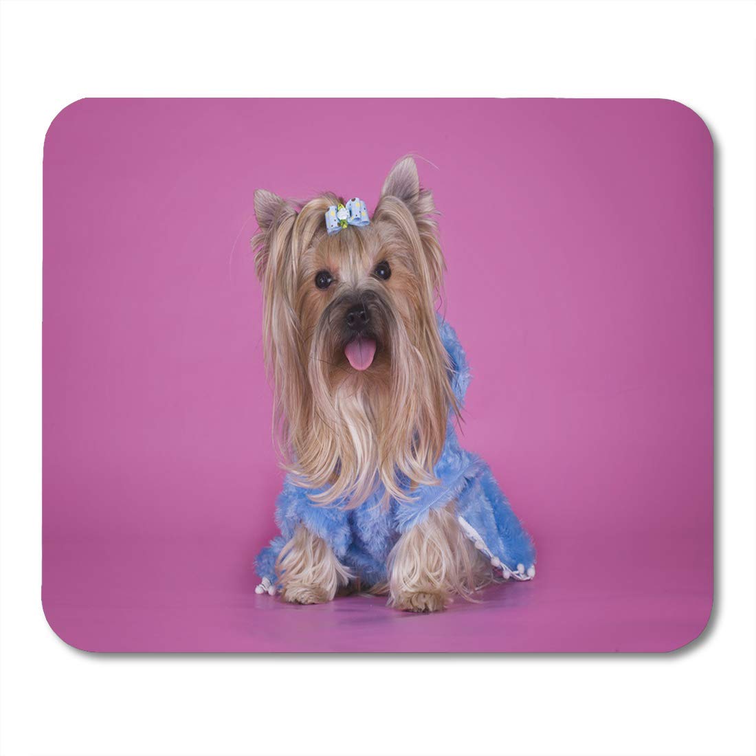 Orbis SO4815-11GRAY 48 x 15 x 10.75 in. Stakpak Plastic Long Stacking Container44; Gray