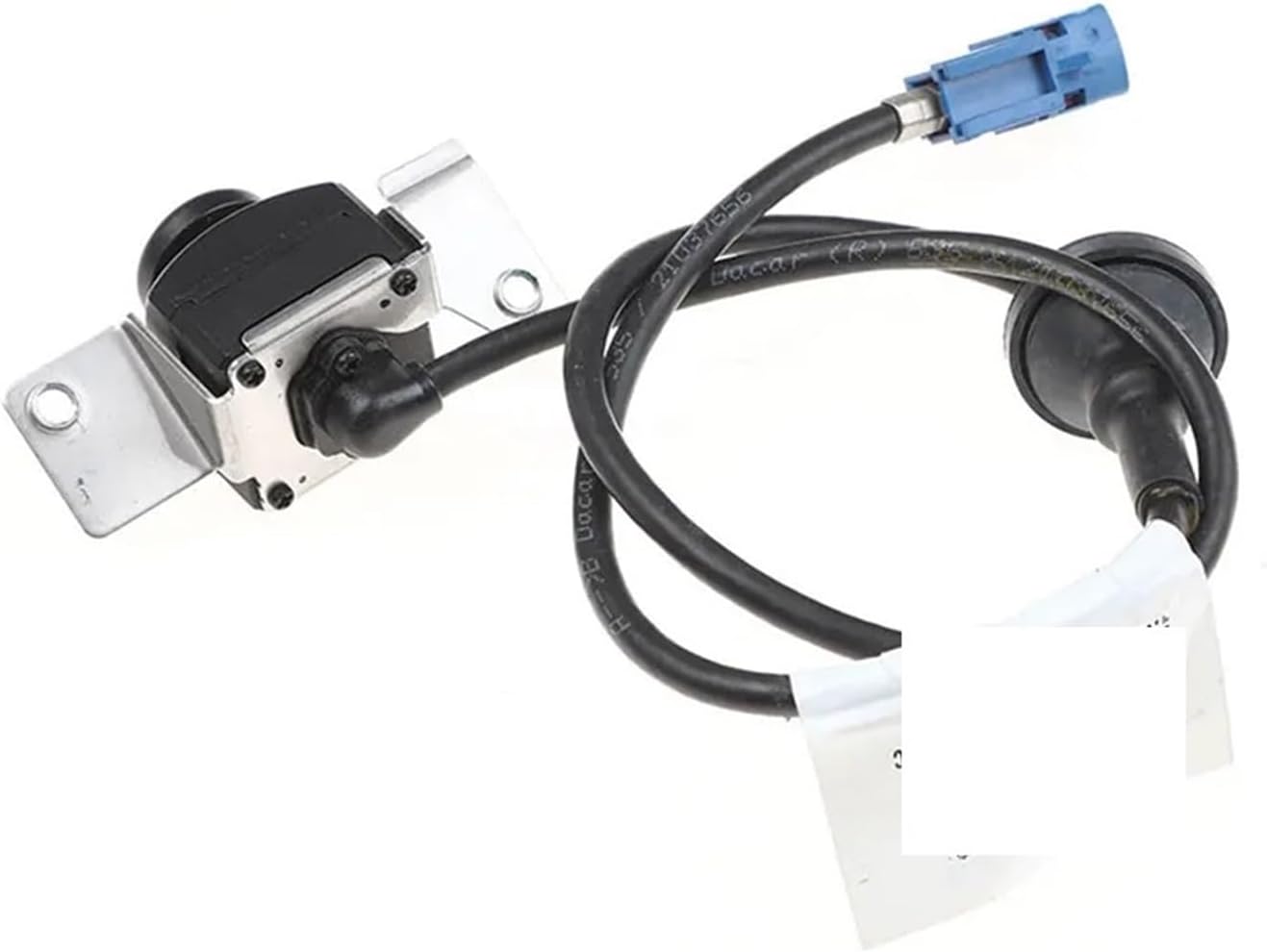 【未使用品・極美品】アンティーク　掛け軸　画題：枯木　百舌鳥 未使用品・極美品】アンティーク 掛け軸 画題：枯木 百舌鳥 京都の