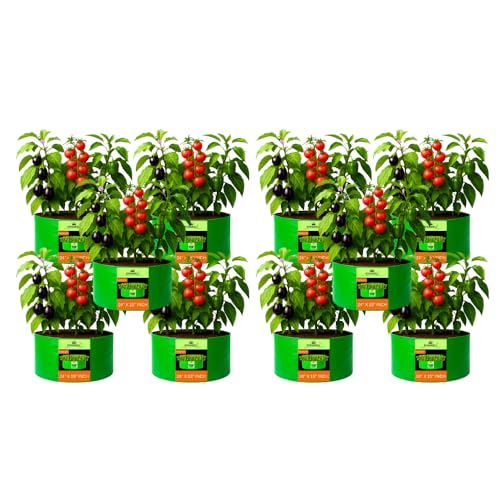 Image of Kingwell Grow Bag 24 X 15 INCH, PACK OF 10 For Terrace Garden Leafy Vegetable Plant Grow Bags Fruits Growing Containers For terrece Gardening (24 X 15 INCH, PACK OF 10)