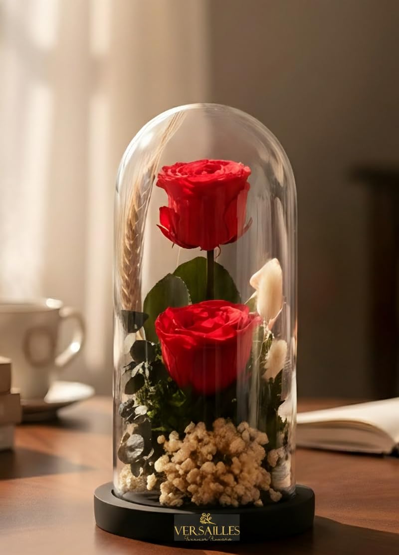 Versailles Eternal Double Red Roses Medium Glass Dome | Wheat Grass, Cotton & Leather Fern | Luxury “Forever Love” Gift for Anniversaries, Birthdays & Home Decor-image-35