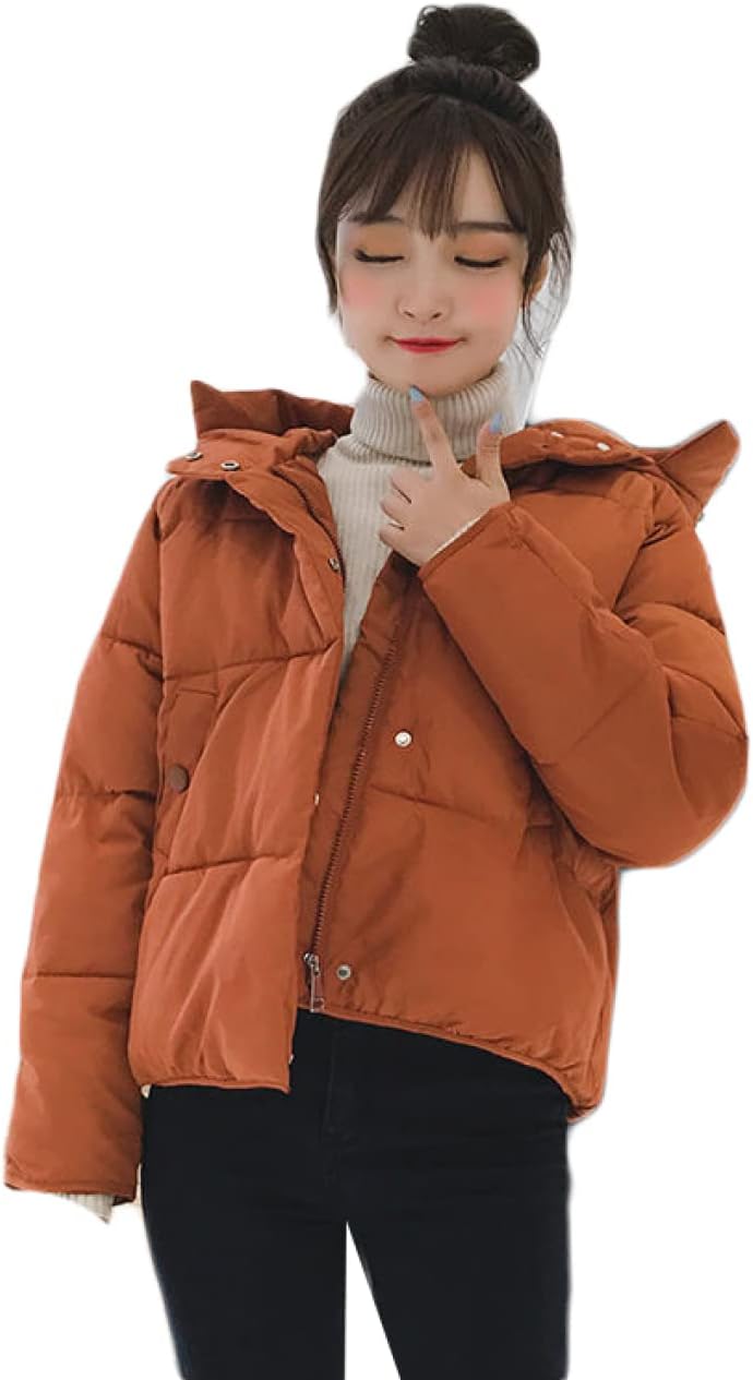 油絵　冬麗（旧北海道庁舎）F8 洋画家・池畠史幸　新作真筆画 油絵冬麗（旧北海道庁舎）F8 洋画家・池畠史幸新作真筆画 馬の油彩画