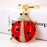 Dank der innovativen Schnalle können Schlüssel schnell und sicher angebracht und entfernt werden.