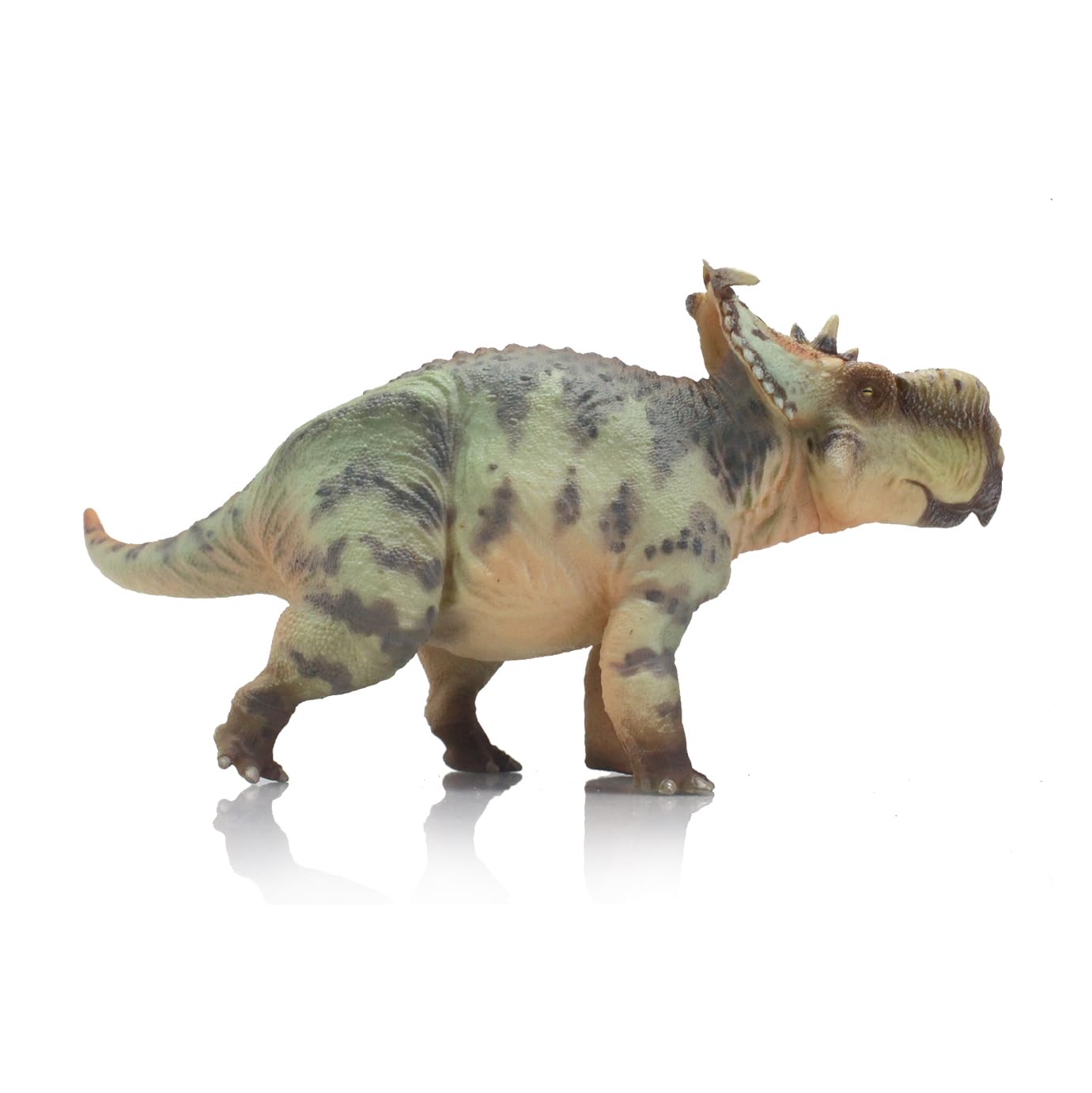 AMITD Pachyrhinosaurus (GuoSheng)