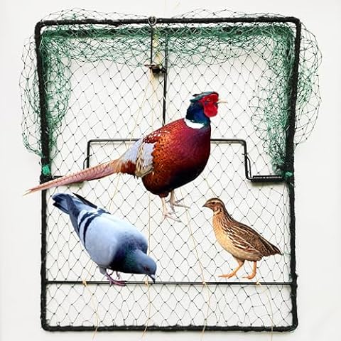 DSQSTMR Pigeon Trap for Birds Cover