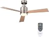POLYECO Ceiling Fans with Lights and Remote Control, 2-Side Option Blades, Flush Mount Ceiling Fan with 6-Speed Reversible DC Motor for Living Room Dining Room BedroomNickel Plated