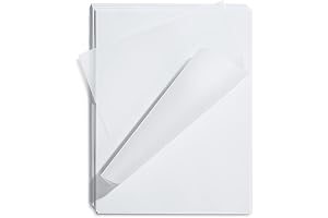 Vellum Paper: The Artist's Secret Weapon for Onion Skin-Like Translucency