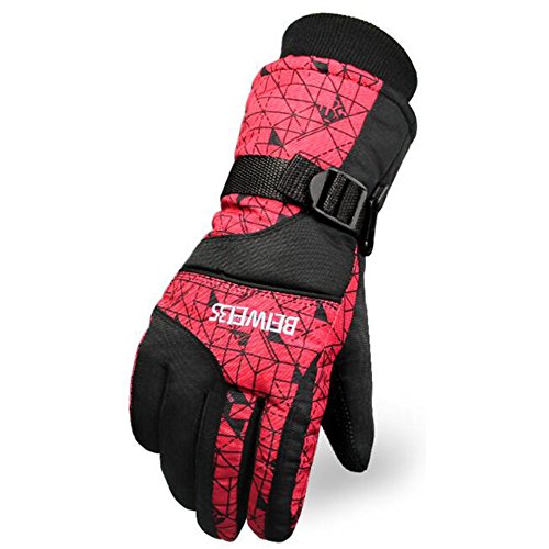 candy88 Y fB[X XL[ O[u Xm{[  Y ]ԓoR  hO[u h h jp (Y, bh)