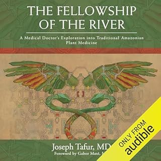The Fellowship of the River cover art