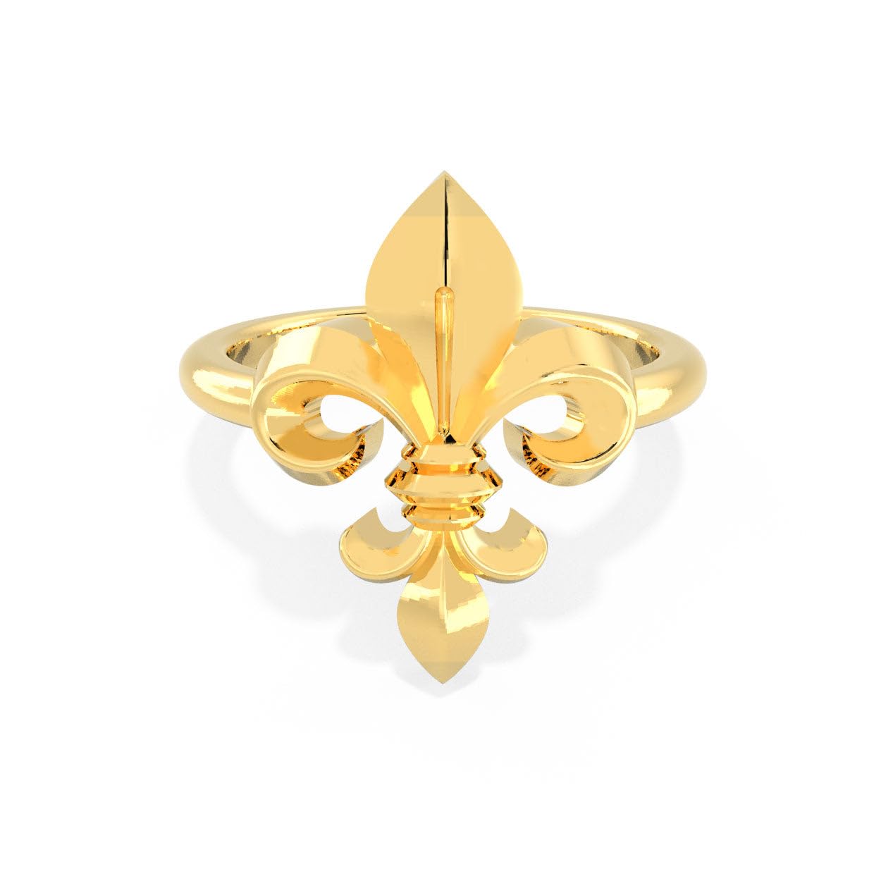 Romantic Floral Fleur De Lis Toering-image-13