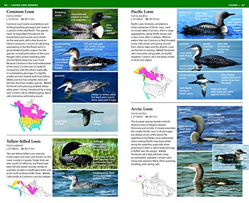 National Wildlife Federation Field Guide to Birds of North America - Image 3