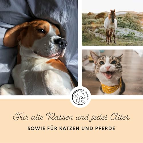 Annimally Lax-Öl für Hunde & Katzen 250 ml