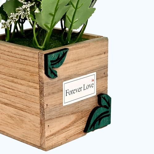 Image of Cortina Wooden Pot Bamboo Potted Plant | Home Decor Items for Living Room Balcony Kitchen Bedroom Office Table Top Decoration - Blue, 20X10