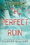 The Perfect Ruin: A Riveting New Psychological Thriller