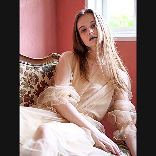 Panasonic Lumix Micro Four Thirds Camera Lens, Leica Dg Vario-Summilux 25-50Mm F1.7 Asph, Stepless Aperture, Video Performance, H-X2550 #TOP6