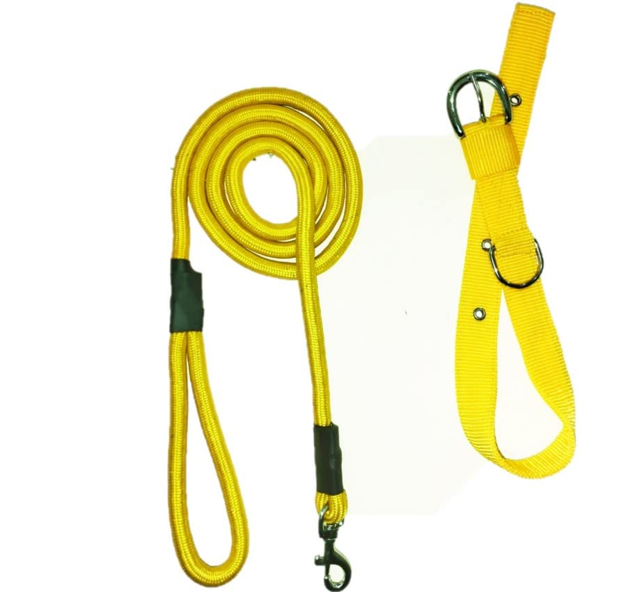 JAPIN Dog Neck Collar Belts and Rope Set Waterproof for Medium Dogs (B0B4VSCMBP) Amazon Price History, Amazon Price Tracker