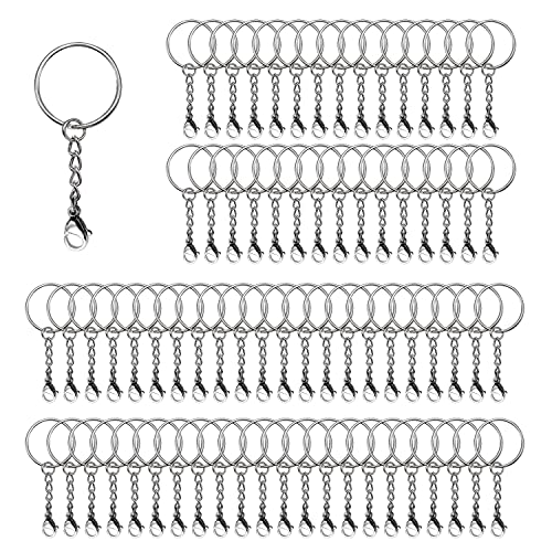 60 Stück Schlüsselring mit Kette,Schlüsselanhänger Ring Set mit Karabinerverschluss für Schlüssel Handwerk Diy Cover